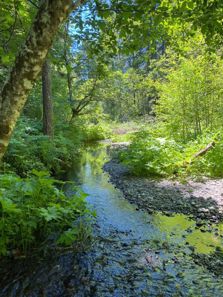 About in Port Hadlock and Port Angeles, WA Olympic Peninsula Health